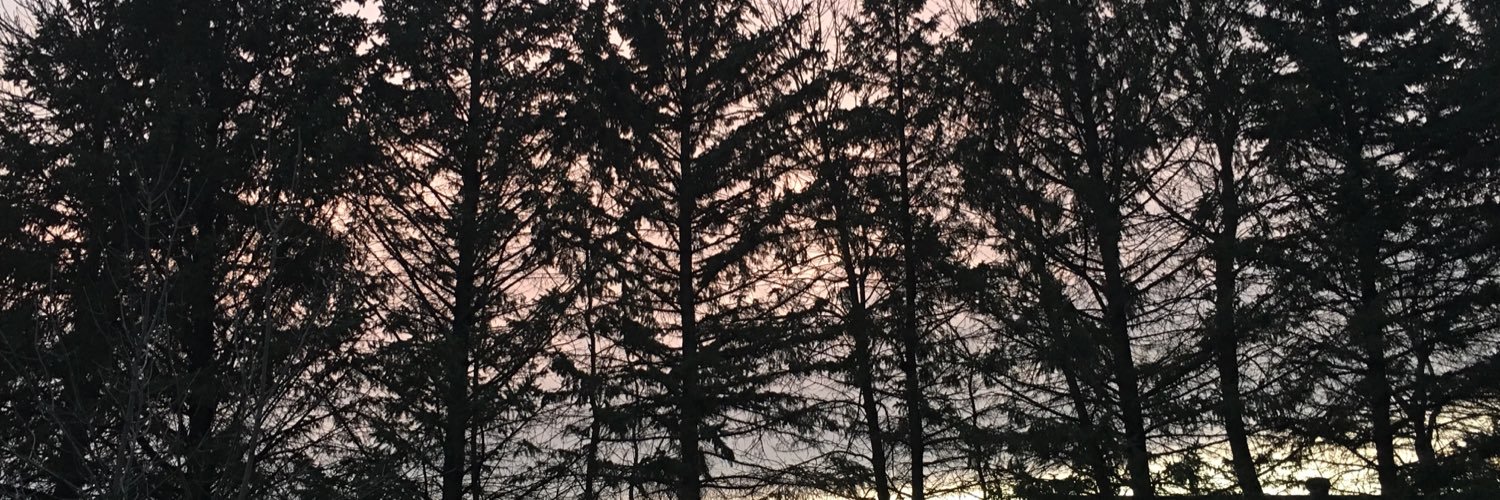 CGlassmann's profile banner image
