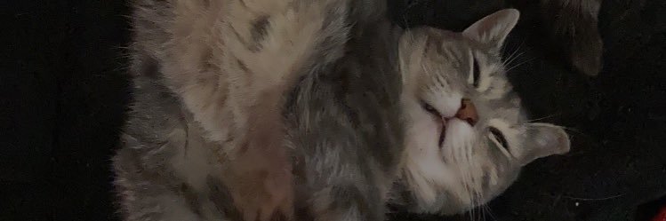 twhitney12's profile banner image