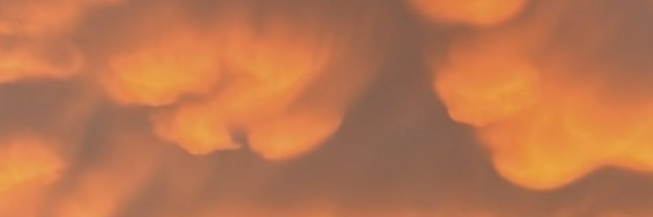 nilselizz's profile banner image