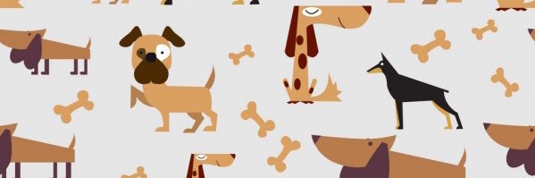 yaareliVa's profile banner image