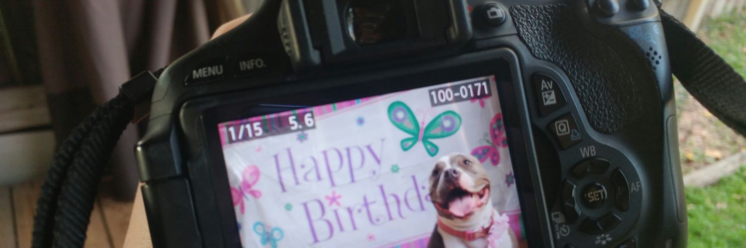 RachelPangrac's profile banner image