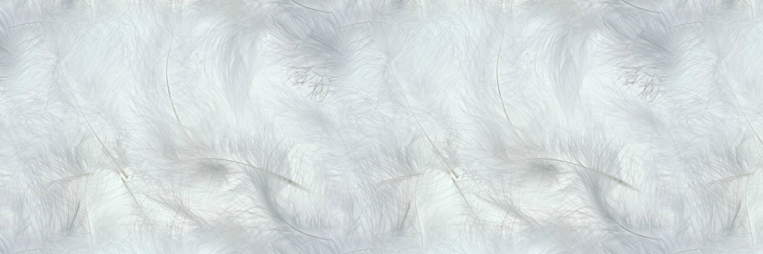 dtrub's profile banner image