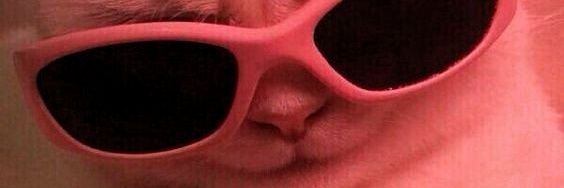 cu_pinkcake's profile banner image
