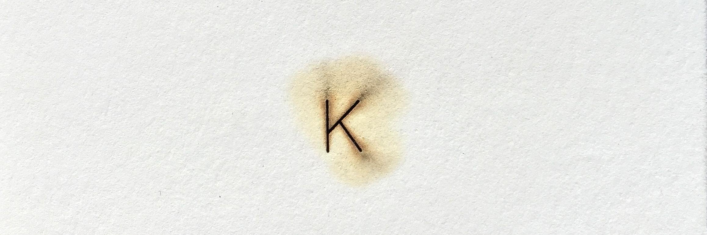 Brandon Kavulla banner