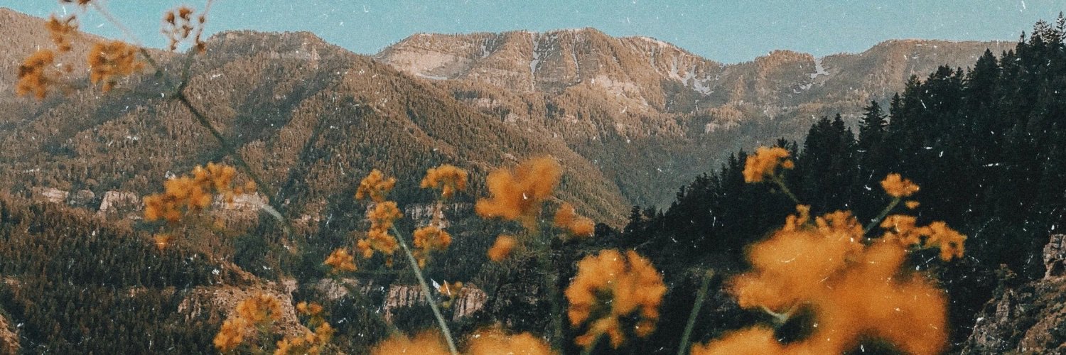 sophiefry00's profile banner image
