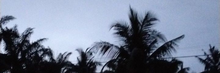 radie_e's profile banner image