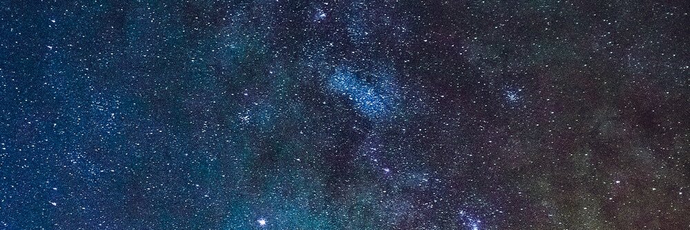 Lexie banner