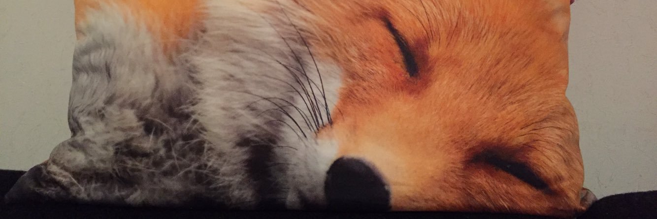 Speedfuchs's profile banner image