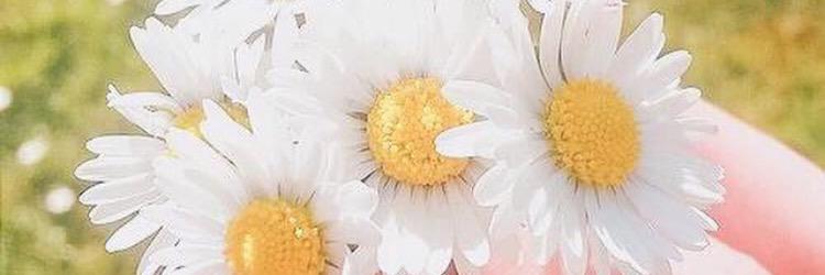 ning_thippawan's profile banner image