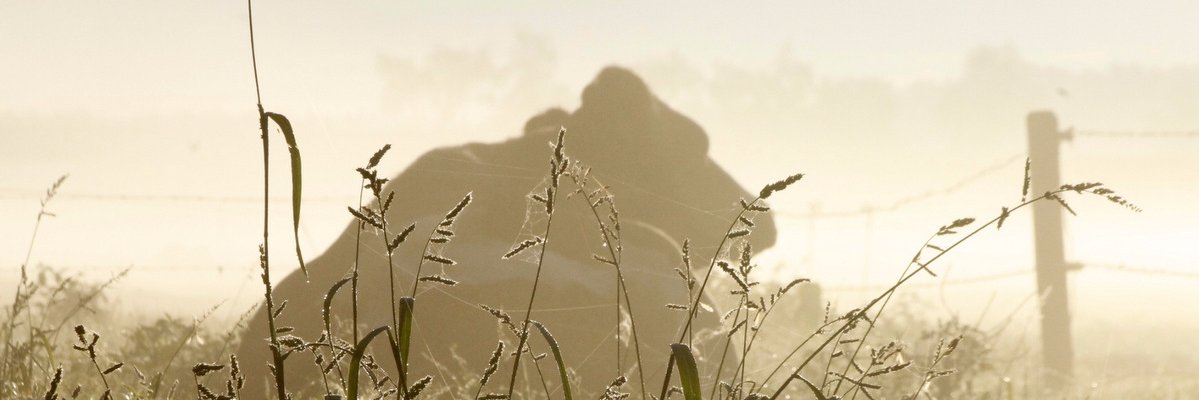 RokesErf's profile banner image