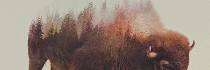 LV_Emmanuel's profile banner image