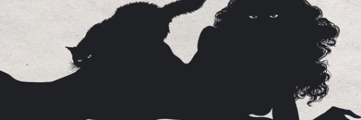 pon___ton's profile banner image