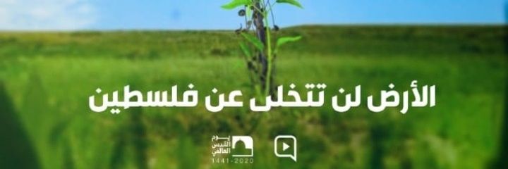 Mroué Safi🔻 banner