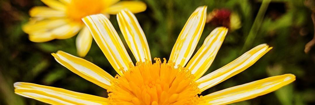 turned and churned banner