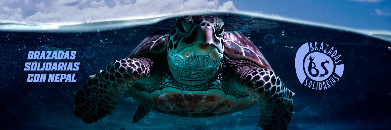 Brazadas Solidarias banner