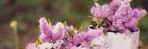 enass ahmed banner