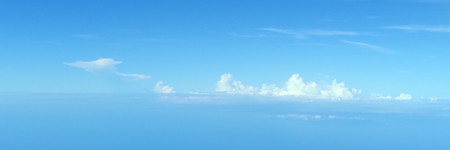 weird_dandelion's profile banner image