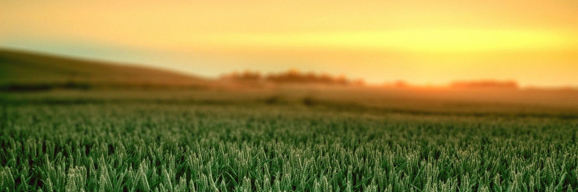 fsevcik's profile banner image
