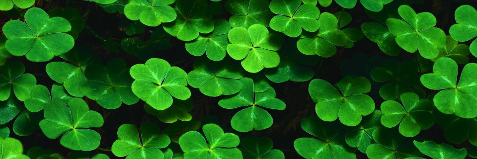 sghernaiz's profile banner image