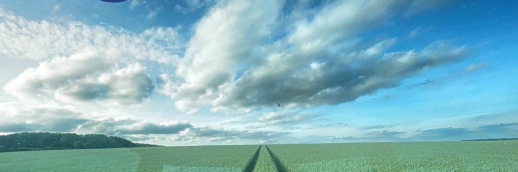 Barry Williams banner