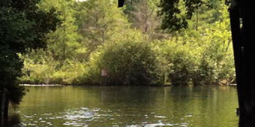 LakeOrionInfo's profile banner image