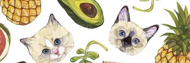 beccarozman's profile banner image