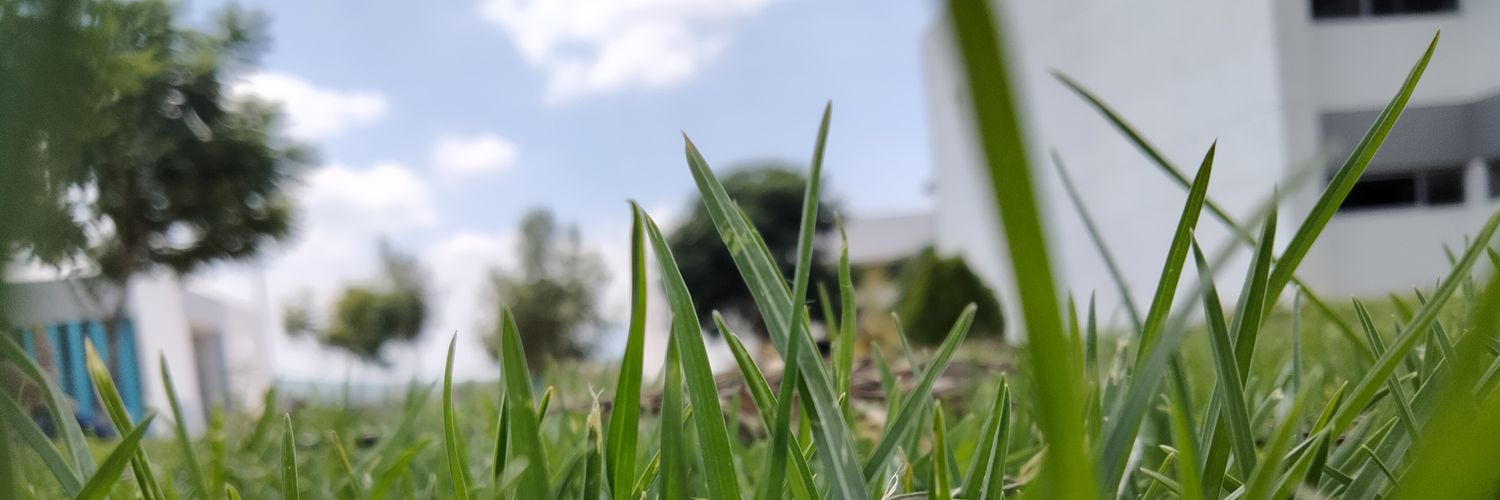 ximeE_more's profile banner image