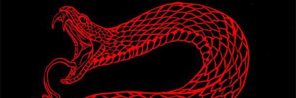 fabiolaClb's profile banner image