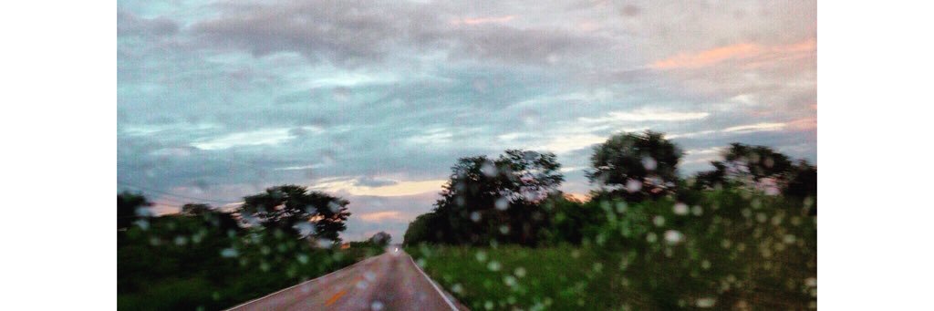 sofiaasant's profile banner image