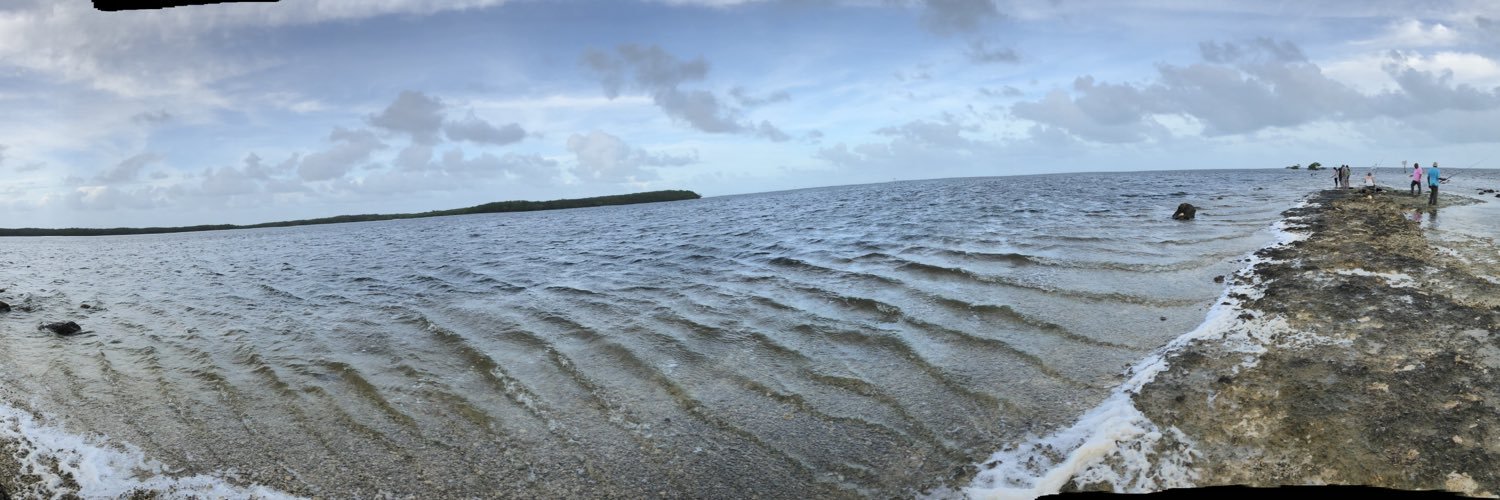 AishahC's profile banner image