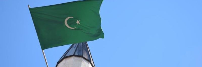 fovundur's profile banner image