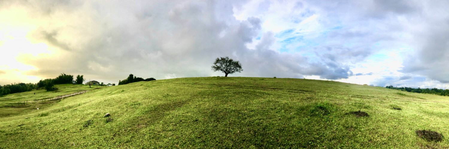 patrickboglosa's profile banner image