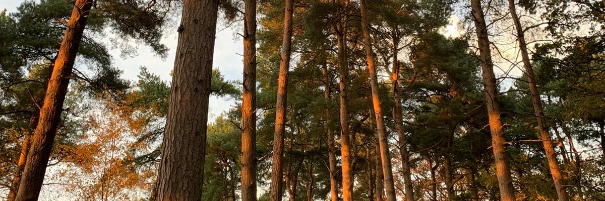christineceeee's profile banner image