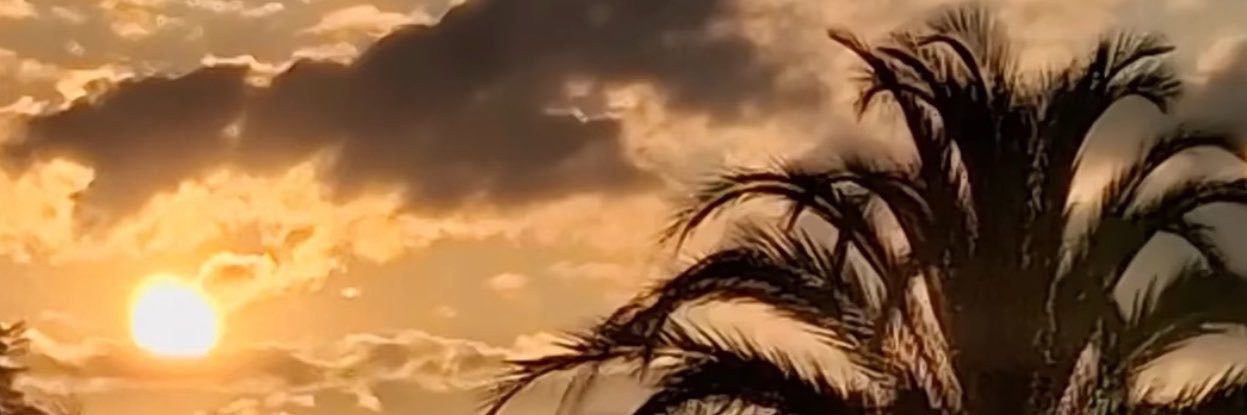 gry_dntst's profile banner image