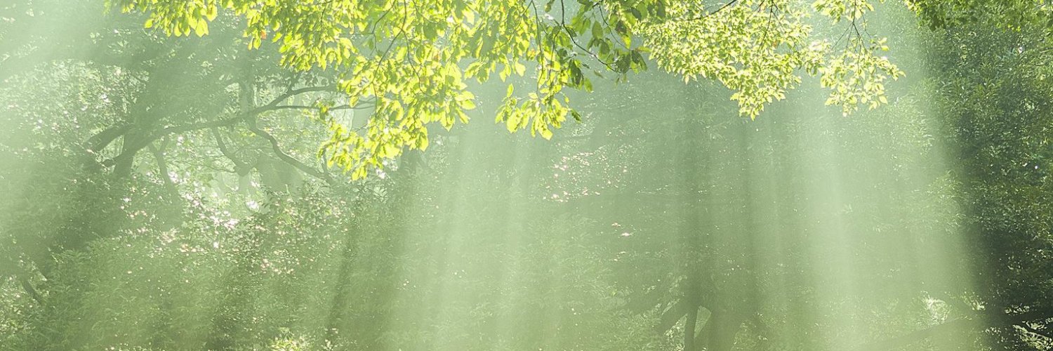 yinette's profile banner image