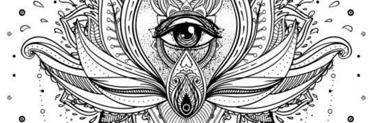 busraakosal's profile banner image