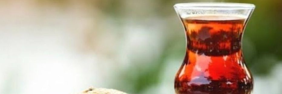 Altay Yollarda banner