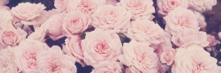 ListenToMyEyes's profile banner image