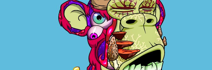 Lisandra banner