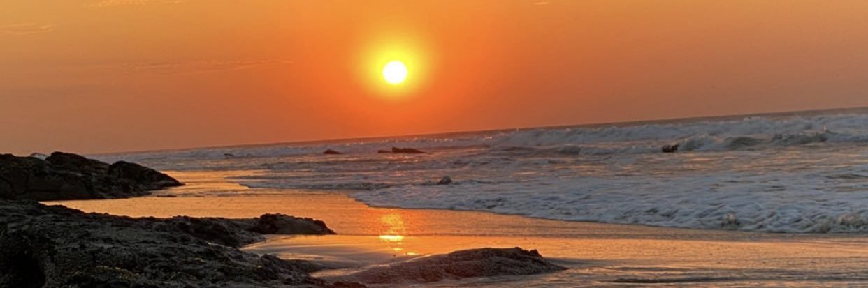 MirangelFerrini's profile banner image