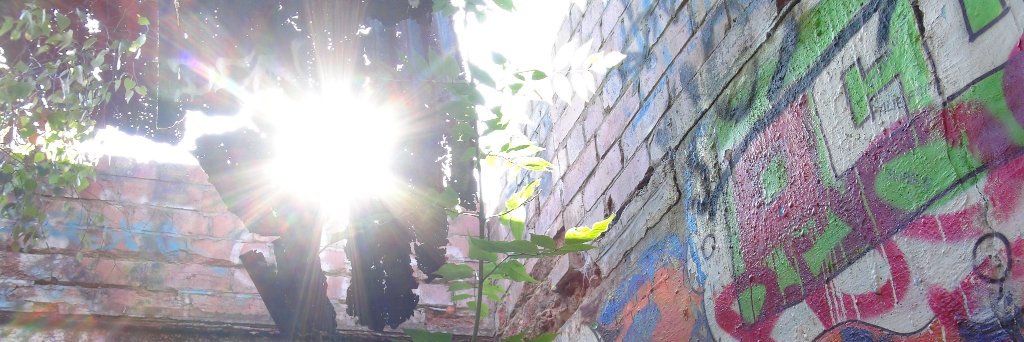 zeyusmedia's profile banner image