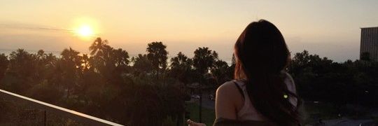 apinkseueun's profile banner image