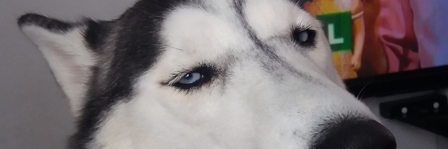 LimaAngelika's profile banner image