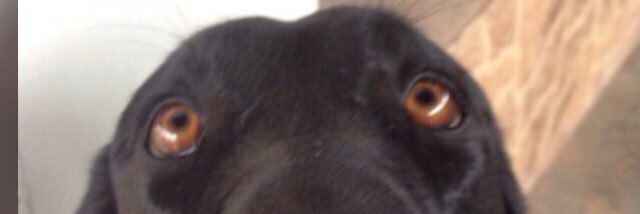 Johngando0's profile banner image
