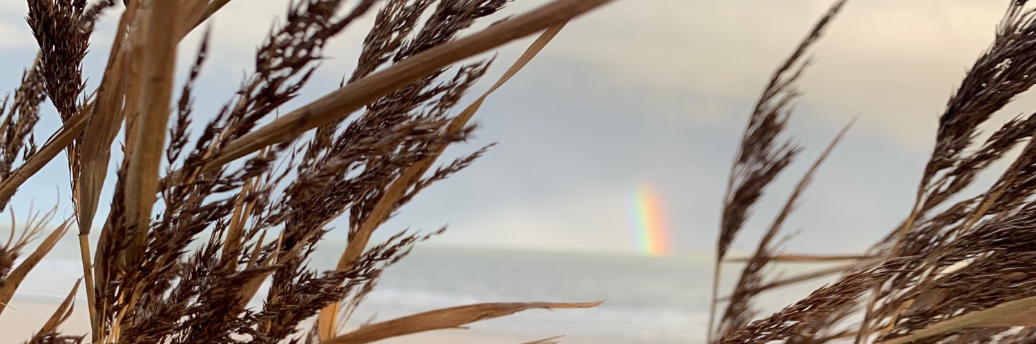 wvandorst's profile banner image