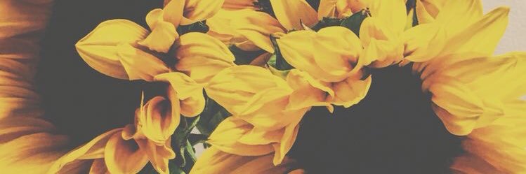 haleycrocker's profile banner image