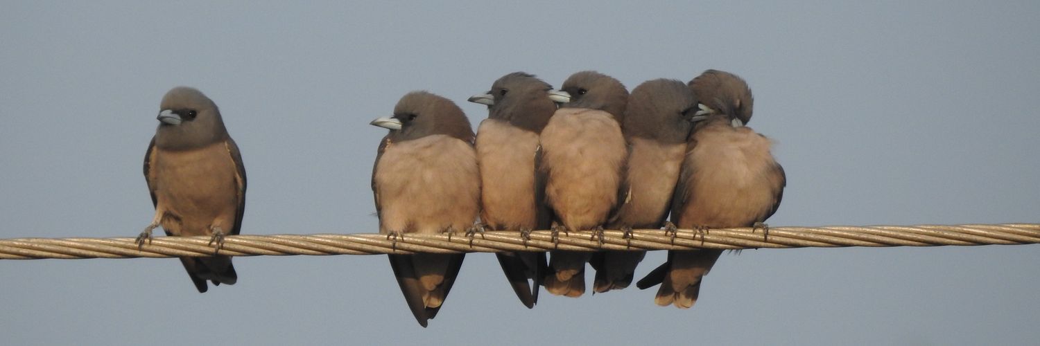 christy bharath banner