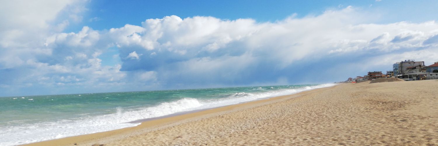 GiaCerioni's profile banner image