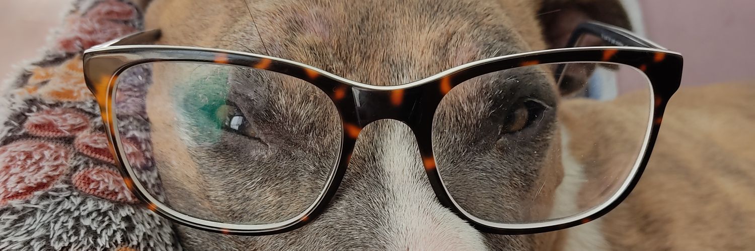 sadntears's profile banner image