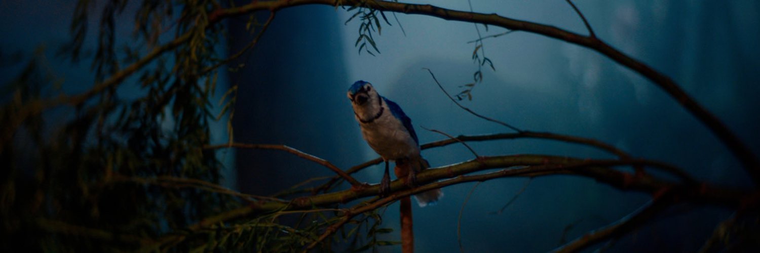 pablo_ppf's profile banner image